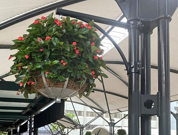 Hanging Flower Basket